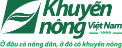 Logo KN-13_dung_17_3_chuxanh